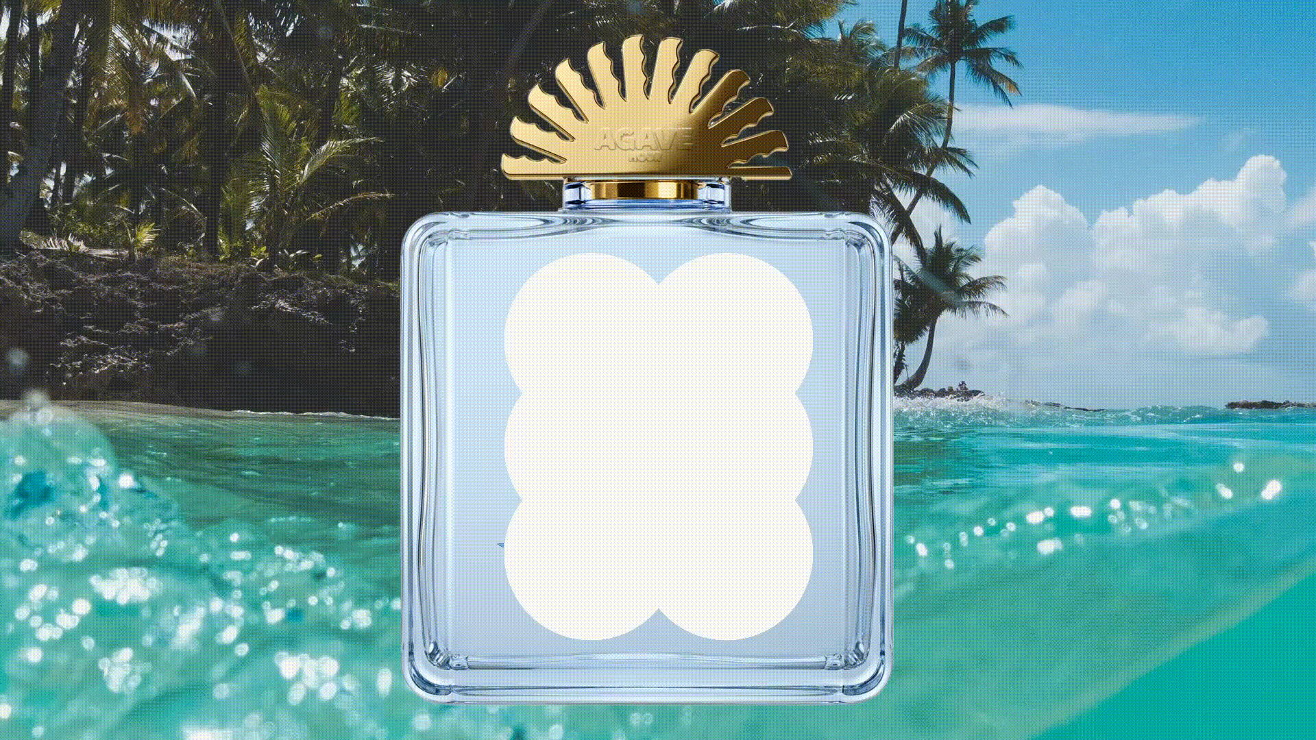 Agave Hour — image 1